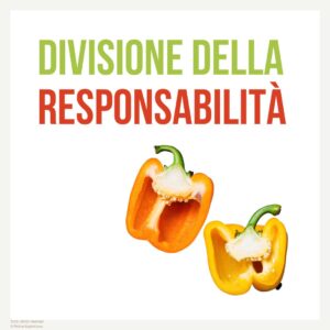 Divisione della responsabilità