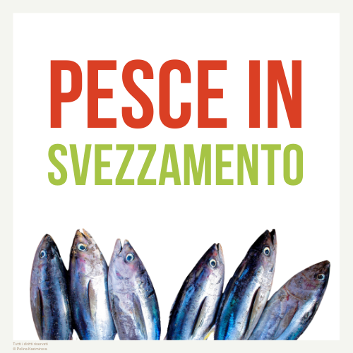 Come offrire il pesce in svezzamento