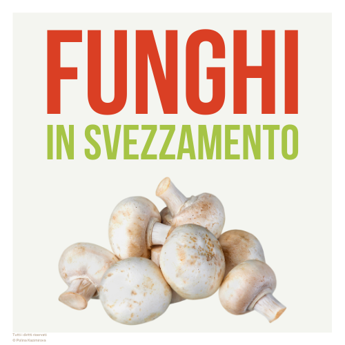 Funghi in svezzamento