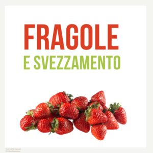 fragole in svezzamento