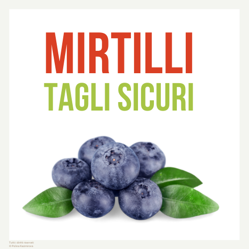 Mirtilli in svezzamento e tagli sicuri